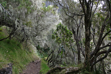 Arrivée dans le cirque de Cilaos en passant par le col du Taibit