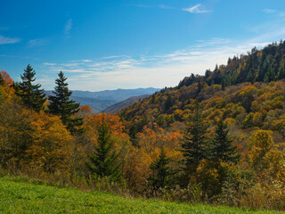 Fototapeta na wymiar Mills Valley Overlook Vista Tennessee in Autumn