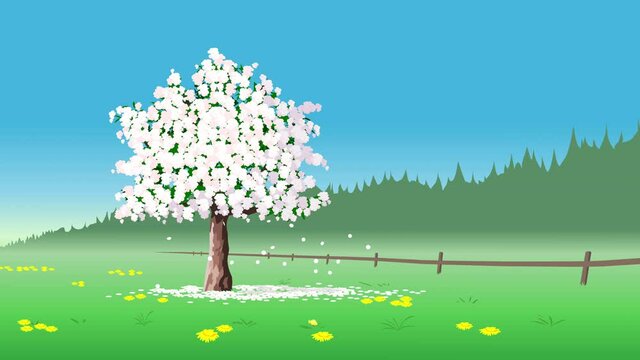 Loop animation of tree in spring season.
