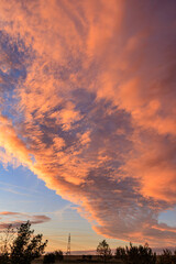 Obraz premium Landscape of orange sky with clouds and trees