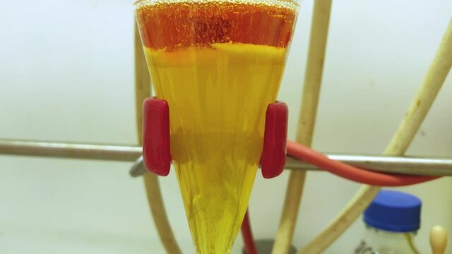 Separation of organic layer and water layer in separating funnel in a chemistry lab for education purpose. Effervescent of carbon dioxide bubble in organic layer. 4K scientific background concept.