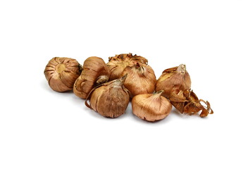 Bulbs of gladiolus flower isolated on white background. Gladiolus corms, tubers. 