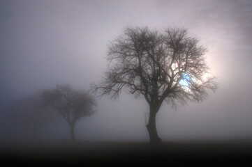 Obraz na płótnie Canvas Nebel