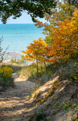 Autumn dunes scene on the shore of Lake Michigan in the USA