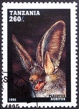 TANZANIA - CIRCA 1995: A stamp printed in Tanzania shows Plecotus auritus, Bats serie, circa 1995