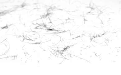Cutting black hair isolated on white. Black hair cut off on white background.