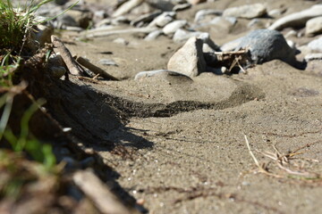 Sand on river bank