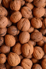 many walnuts in the shell closeup natural background