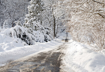 wintery drive with iced trees in Michigan USA