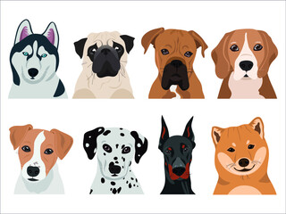 Set of dogs in vector (husky, pug, boxer, beagle, jack russell, dalmatian, doberman, shiba Inu)