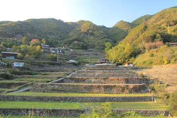 愛媛県　遊鶴羽の棚田