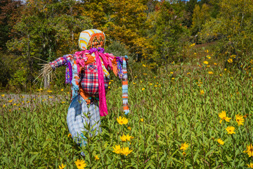 a hay stuffed scarecrow serves as a decoy in a field dressed in old clothes and scarves to ward off...