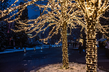 Illuminated trees in the dark, in winter with chains of lights on Ogre pedestrian street, Latvia