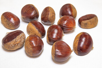Portuguese chestnut (Castanea sativa) on white surface in selective focus