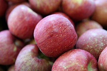 한국의과일사과입니다