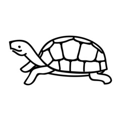 Tortoise. Animal reptile pet. Hand drawn vector illustration.