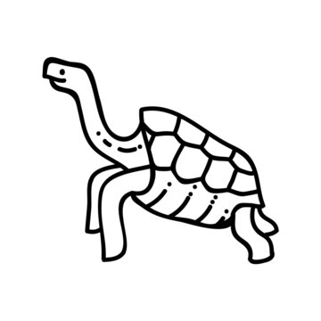 recommend clip art: Galapagos giant tortoise. Hand drawn vector illustration.