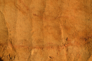 Cut of soil with different layers