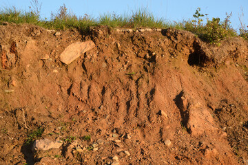 Texture layers of earth. Cross section of green grass and underground soil layers beneath. Natural cut of soil with different layers
