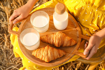 Woman holding tray with milk and croissants in harvested field, top view