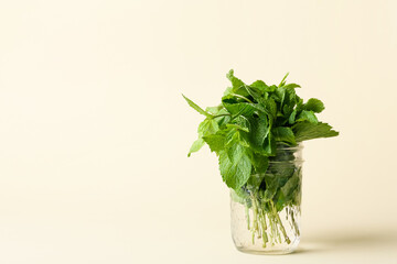 Glass jar with fresh mint on color background