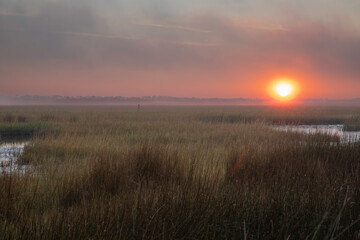 The sun is rising in the distance through the fog over the Tolomato River and the salt marsh in St....