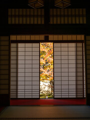 京都　雲龍院　窓から見る紅葉の庭　