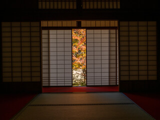 京都　雲龍院　窓から見る紅葉の庭　