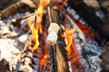 Roasting of tasty marshmallows on fire outdoors