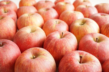 Fototapeta na wymiar たくさんのりんご（ぼかし）