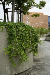  서울역 고가 도로를 ‘차량길’에서 ‘사람길’로 재생하고, 단절된 서울역 일대를 통합 재생하여
지역 활성화와 도심 활력 확산에 기여하는 사람 중심 도시재생 휴식을 취할 수 있는 사색의공간이며 탁 트인 서울의 모습을 조망할 수 있다