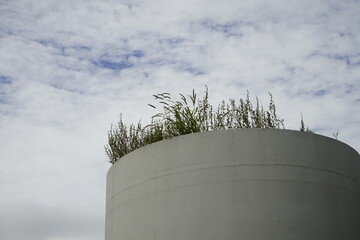  서울역 고가 도로를 ‘차량길’에서 ‘사람길’로 재생하고, 단절된...