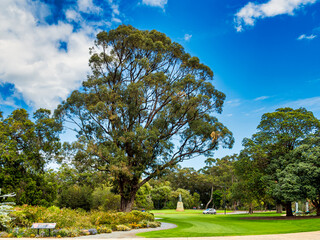 Kings Park and Botanical Garden is a 400.6-hectare park overlooking Perth Water and the central...