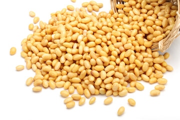 soybean isolated on white background 