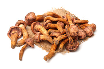 Obraz premium boletus mushrooms on white background