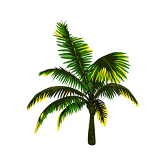 Fototapeta na wymiar palm tree vector. vector illustration. eps
