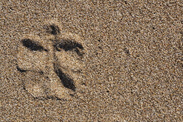 Imprint Angel figure in sand. Christmas and New year on beach with copy space. Flat wiev