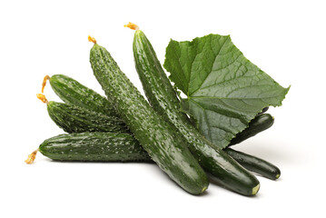 Green cucumber on the white background