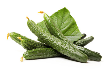 Green cucumber on the white background