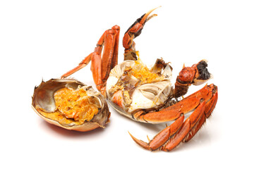 Cooked river crab isolated in white background