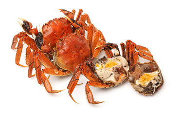 Cooked river crab isolated in white background