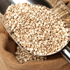 Job's tears on white background