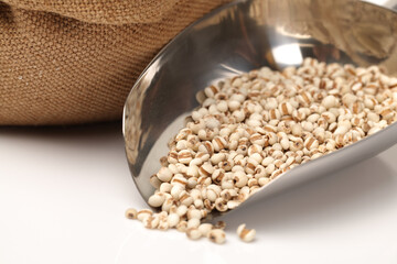 Job's tears on white background