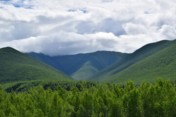Fototapeta na wymiar Green hill. A valley of mountains covered with broad-leaved forest.