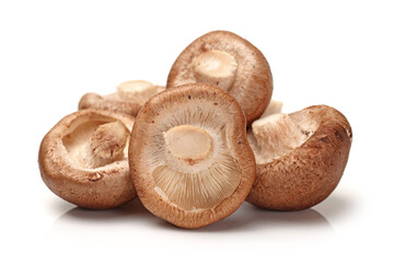 Shiitake mushroom on the White background 