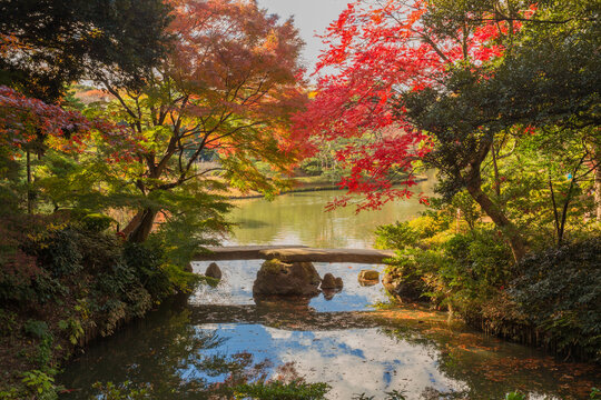 六義園 Images – Browse 1,959 Stock Photos, Vectors, and Video