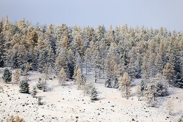 mountains snow altai landscape, background snow peak view