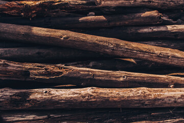 Old logs piled in a pile. Background of logs