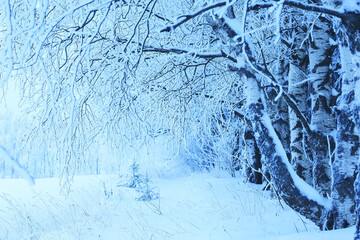 winter background snowfall trees abstract blurred white