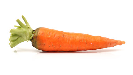 Fresh carrot on a white background